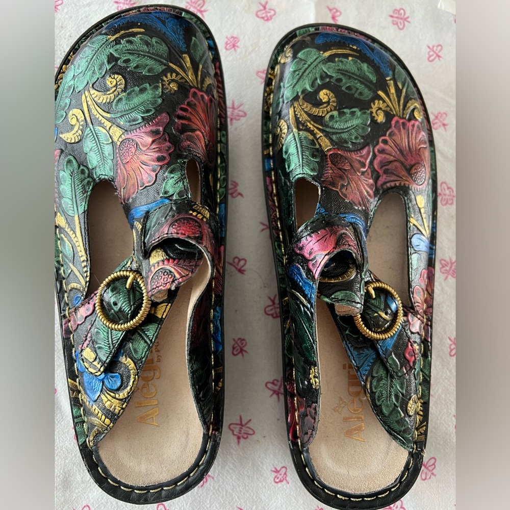 Alegra clogs